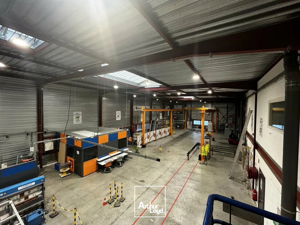 Locaux d'activité & Entrepôts - Vente - ILLKIRCH-GRAFFENSTADEN - 67400 - 1161-1161 - 7917221