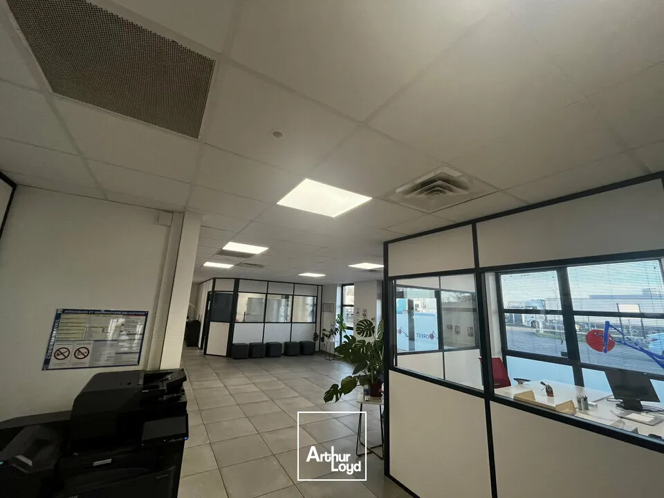 Locaux d'activité & Entrepôts - Vente - ILLKIRCH-GRAFFENSTADEN - 67400 - 1161-1161 - 7917222