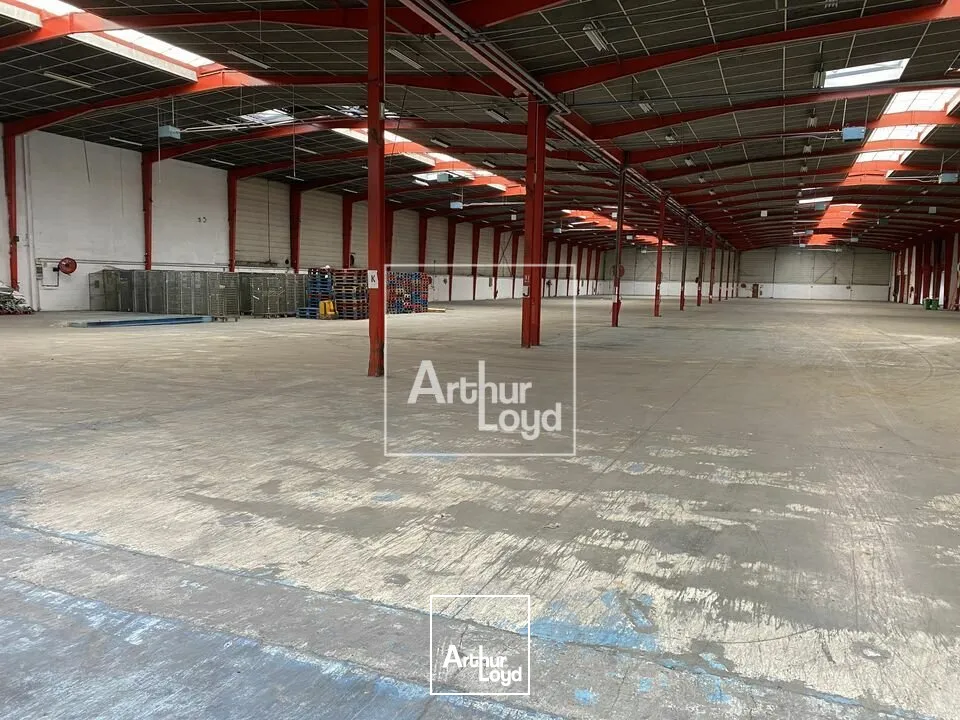 Locaux d'activité & Entrepôts - Location - MORANGIS - 91420 - 1060-11601 - 7917254