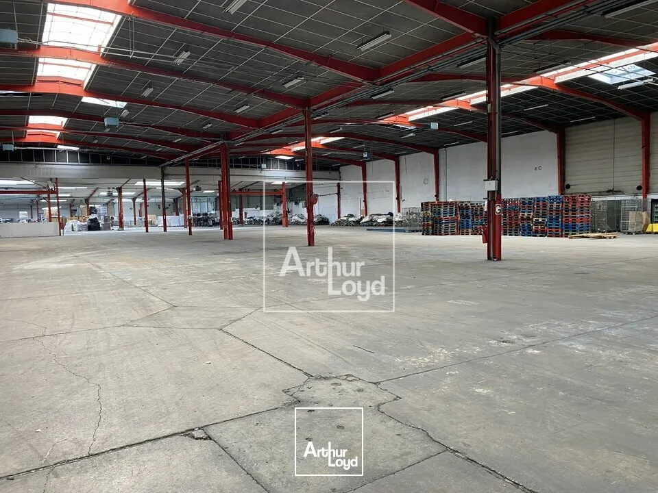 Locaux d'activité & Entrepôts - Location - MORANGIS - 91420 - 1060-11601 - 7917256