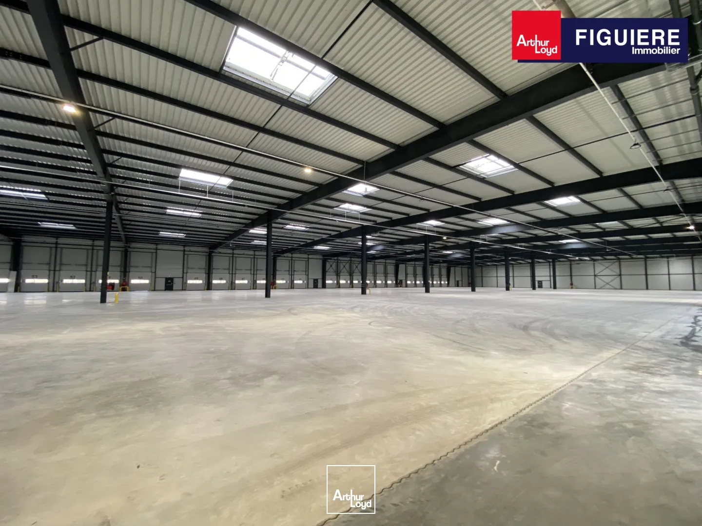 Locaux d'activité & Entrepôts - Location - SENAS - 13560 - 3042-14535 - 7917467