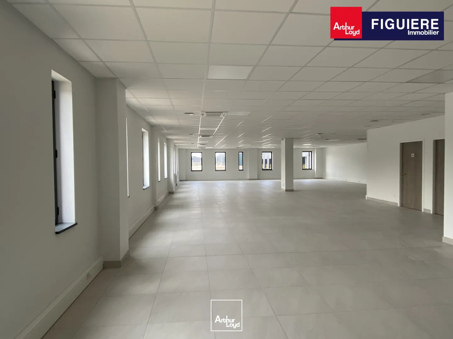 Locaux d'activité & Entrepôts - Location - SENAS - 13560 - 3042-14535 - 7917469