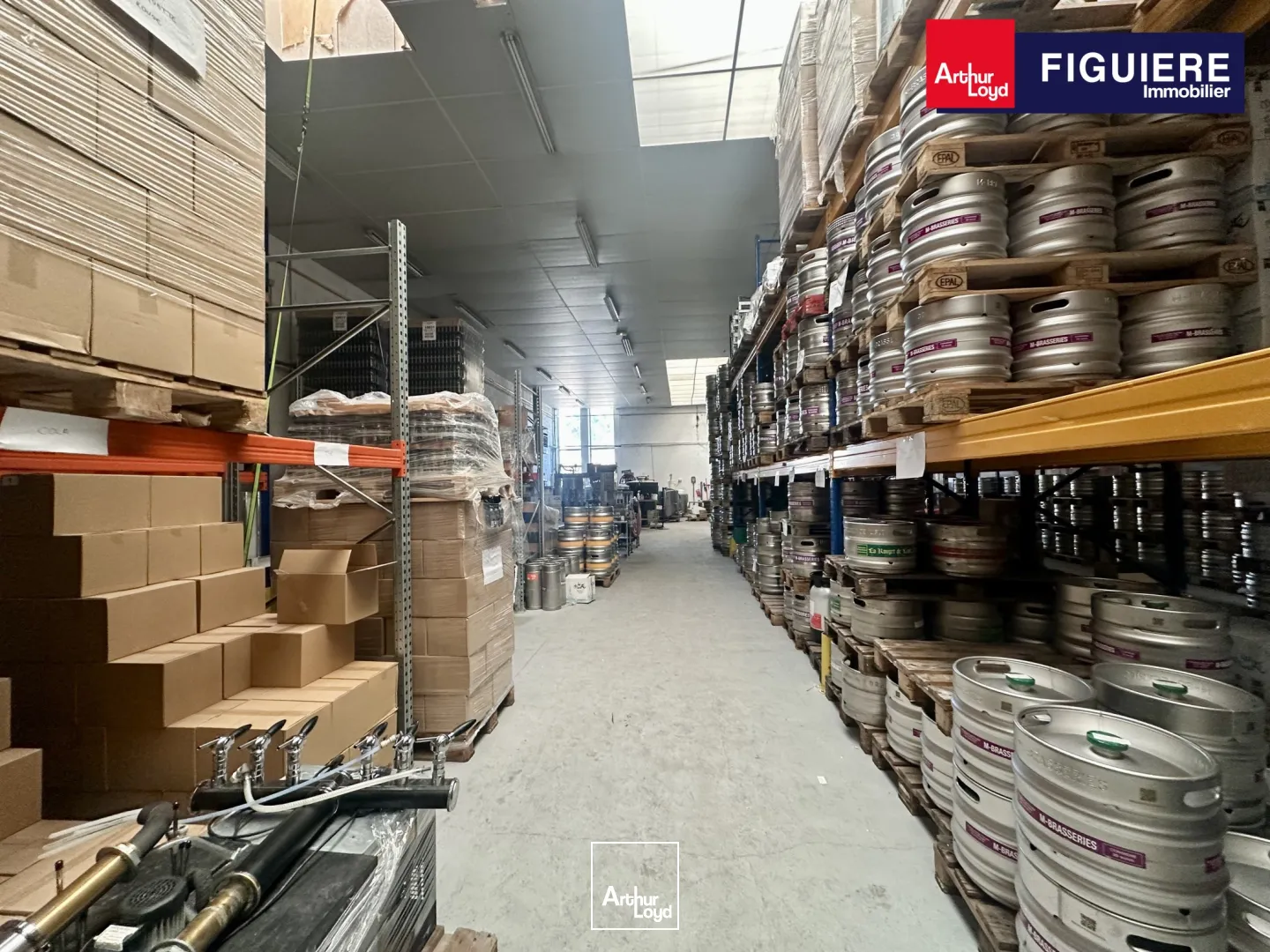 Locaux d'activité & Entrepôts - Location - VITROLLES - 13127 - 490-490 - 7917519
