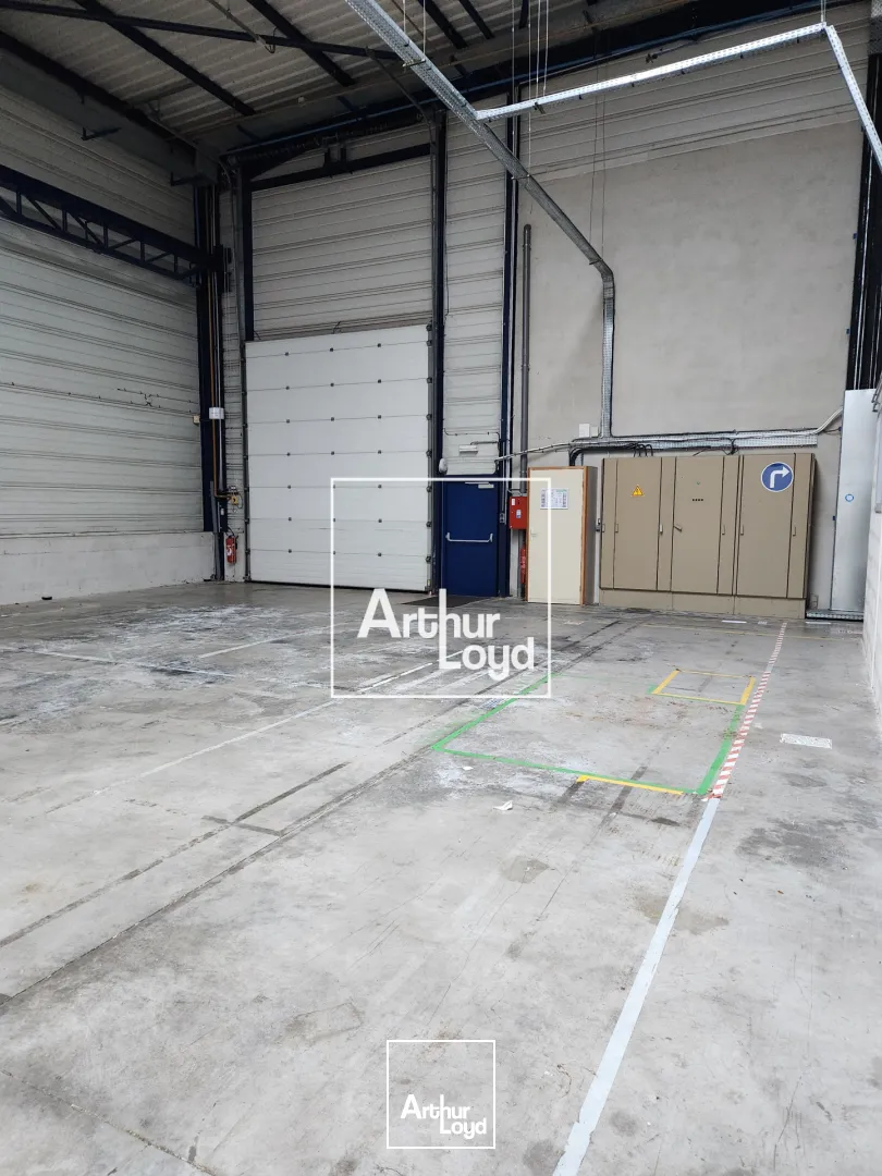 Locaux d'activité & Entrepôts - Location - Belfort - 90000 - 1905-1905 - 7918053