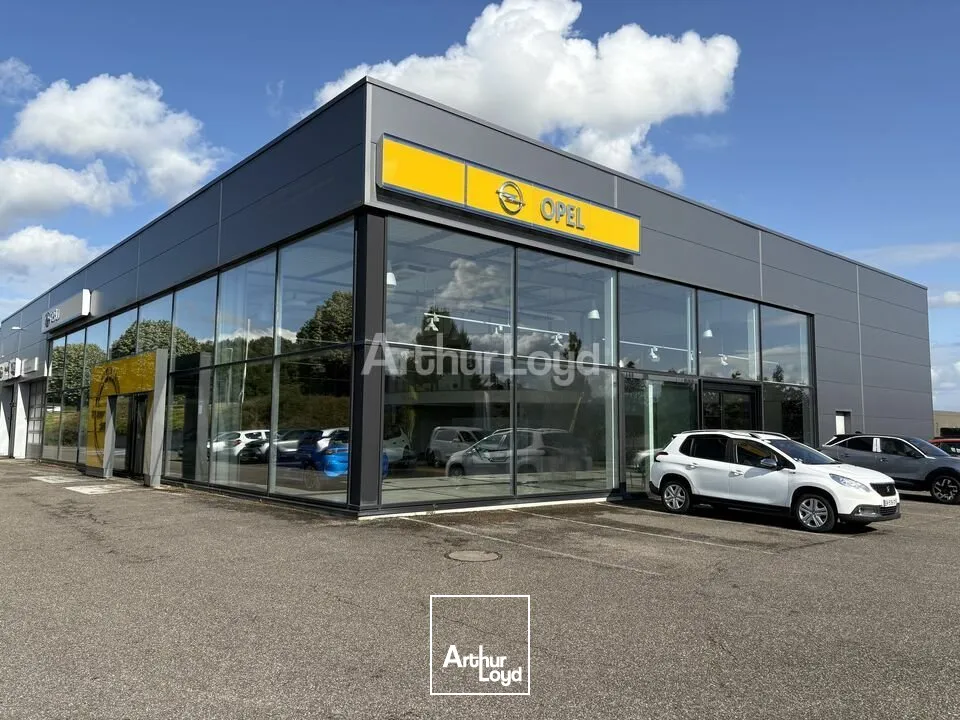 Locaux commerciaux - Vente - MONSWILLER - 67700 - 2280-2280 - 7918278