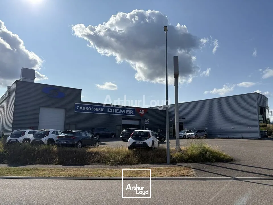 Locaux commerciaux - Vente - MONSWILLER - 67700 - 2280-2280 - 7918281