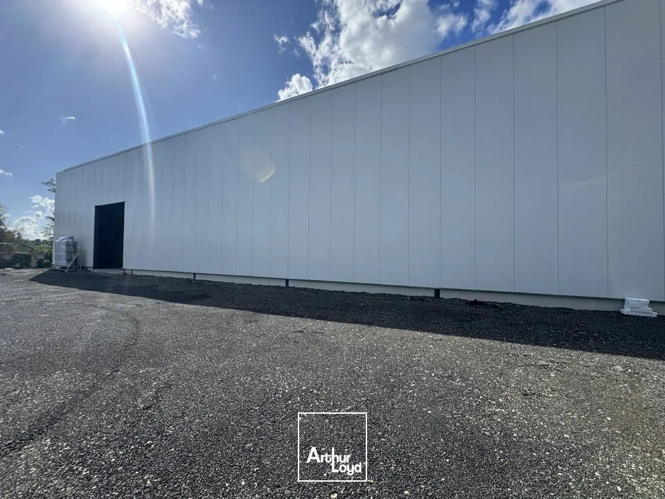 Locaux d'activité & Entrepôts - Location - TOURS - 37200 - 540-540 - 7918425