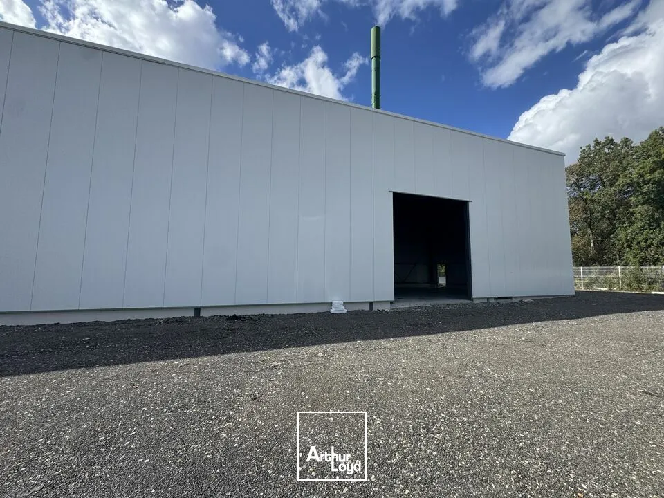 Locaux d'activité & Entrepôts - Location - TOURS - 37200 - 540-540 - 7918426