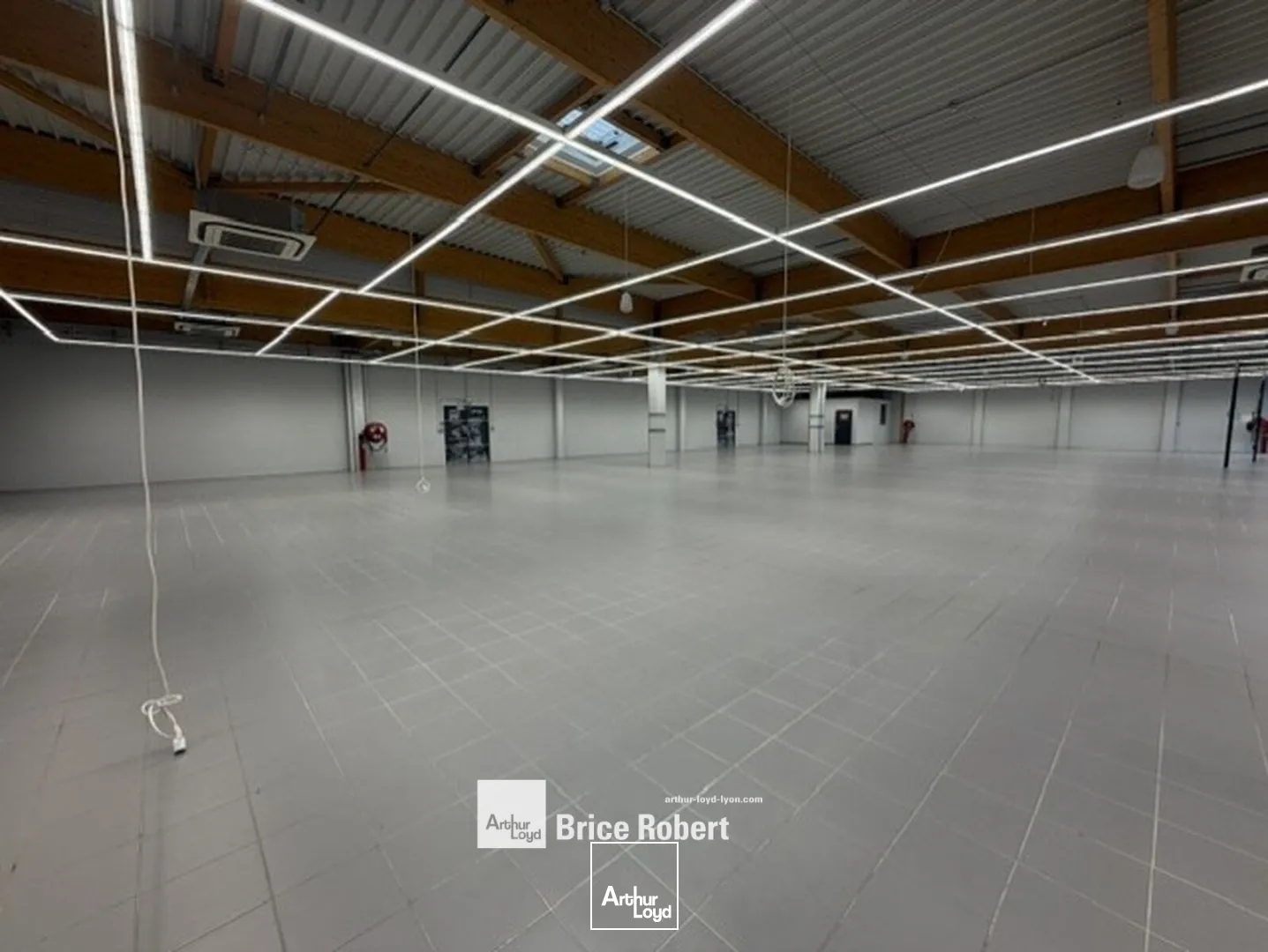 Locaux commerciaux - Location - VAULX EN VELIN - 69120 - 1300-1300 - 7919313