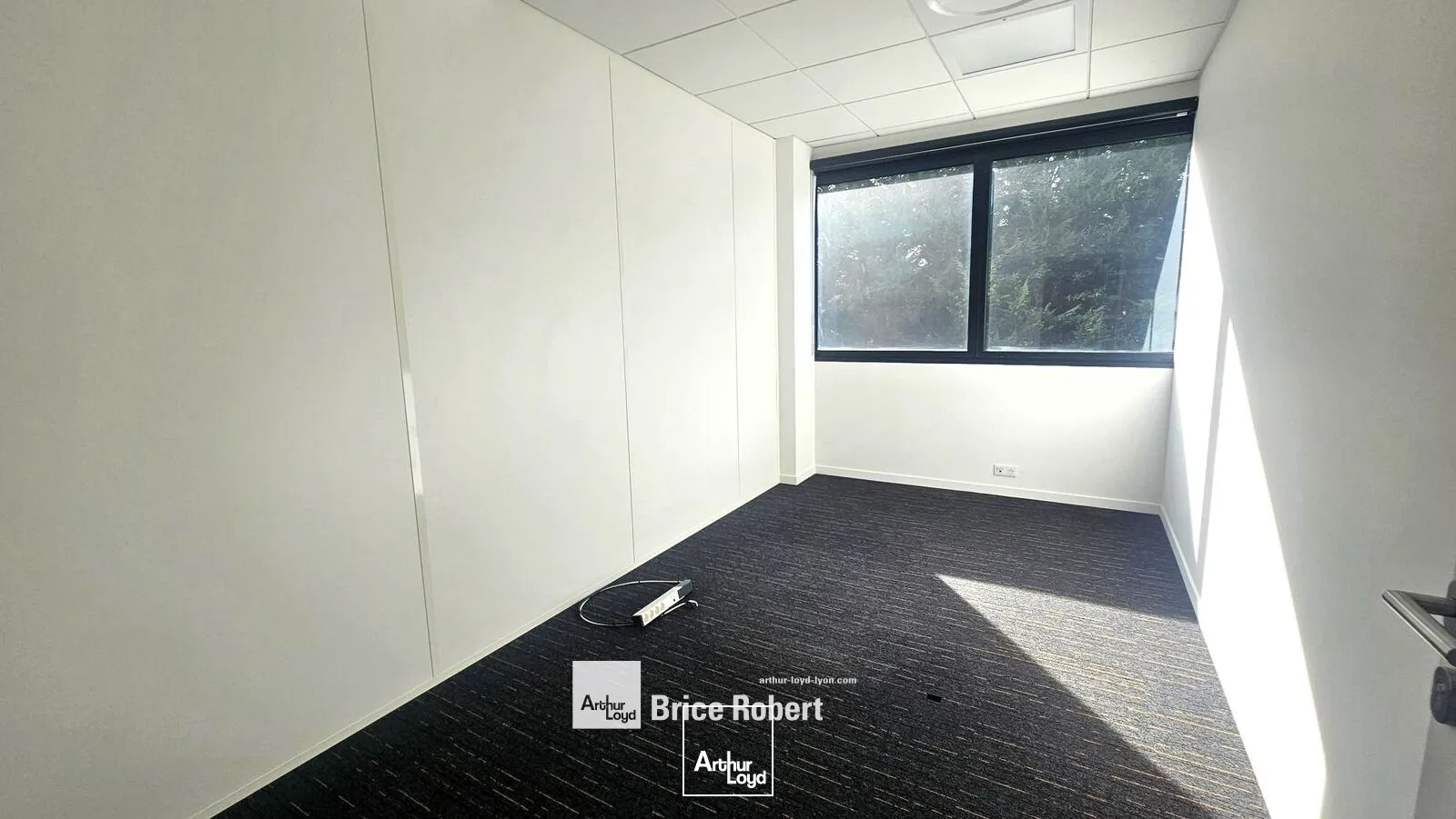 Bureaux - Location - LIMONEST - 69760 - 119-119 - 7919339