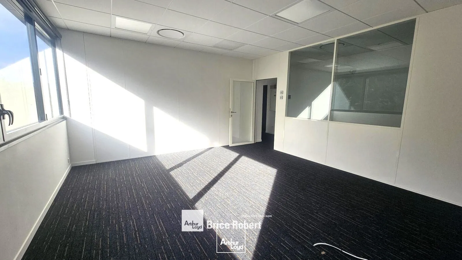 Bureaux - Location - LIMONEST - 69760 - 119-119 - 7919340
