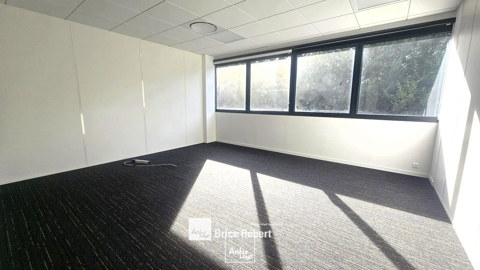 Bureaux - Location - LIMONEST - 69760 - 119-119 - 7919341