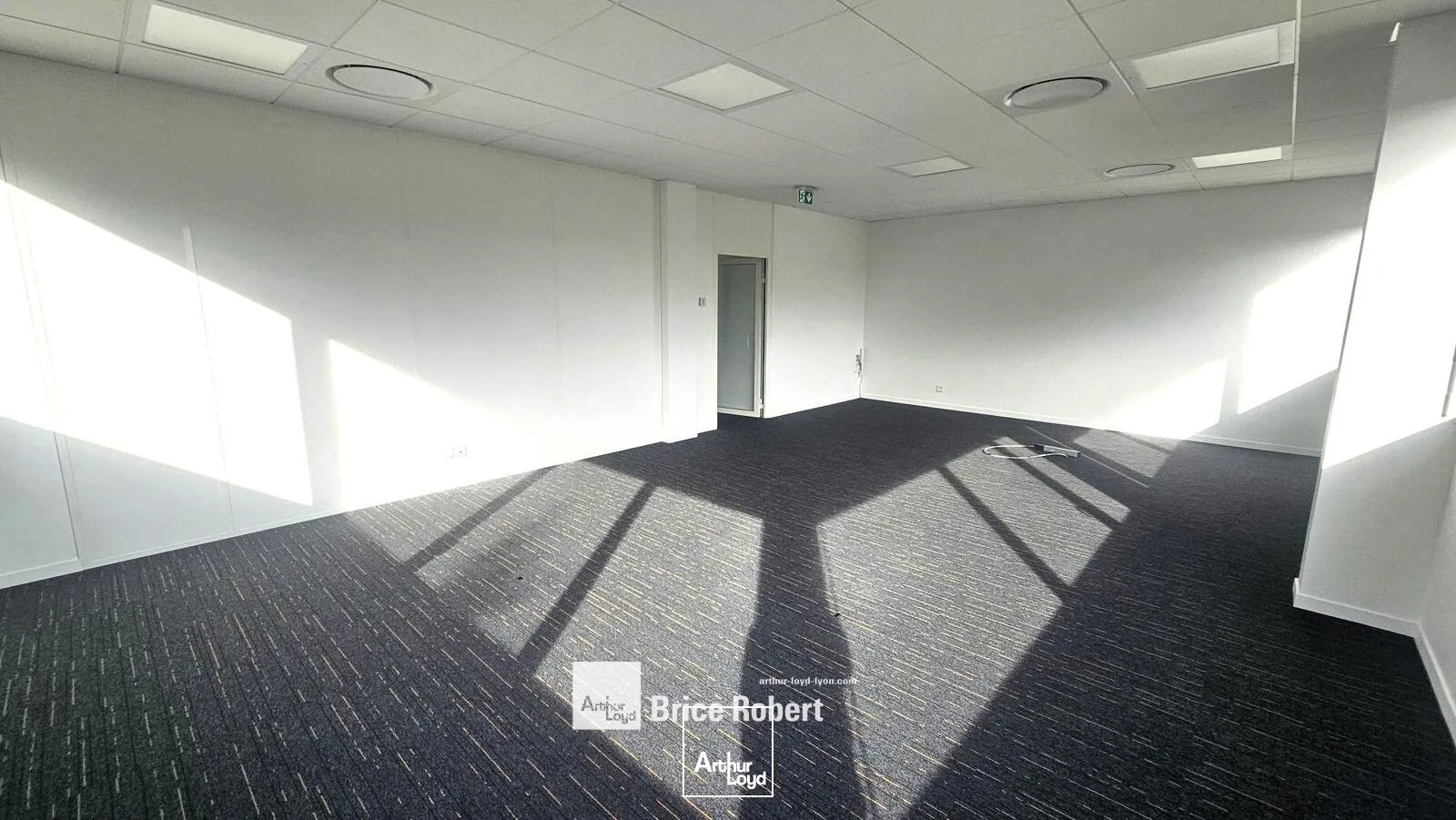 Bureaux - Location - LIMONEST - 69760 - 119-119 - 7919342