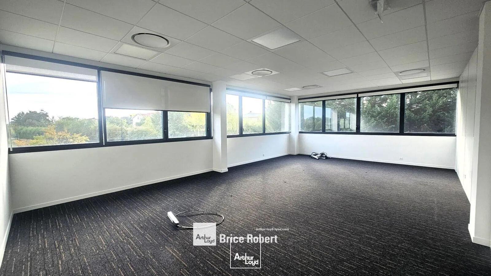 Bureaux - Location - LIMONEST - 69760 - 119-119 - 7919344