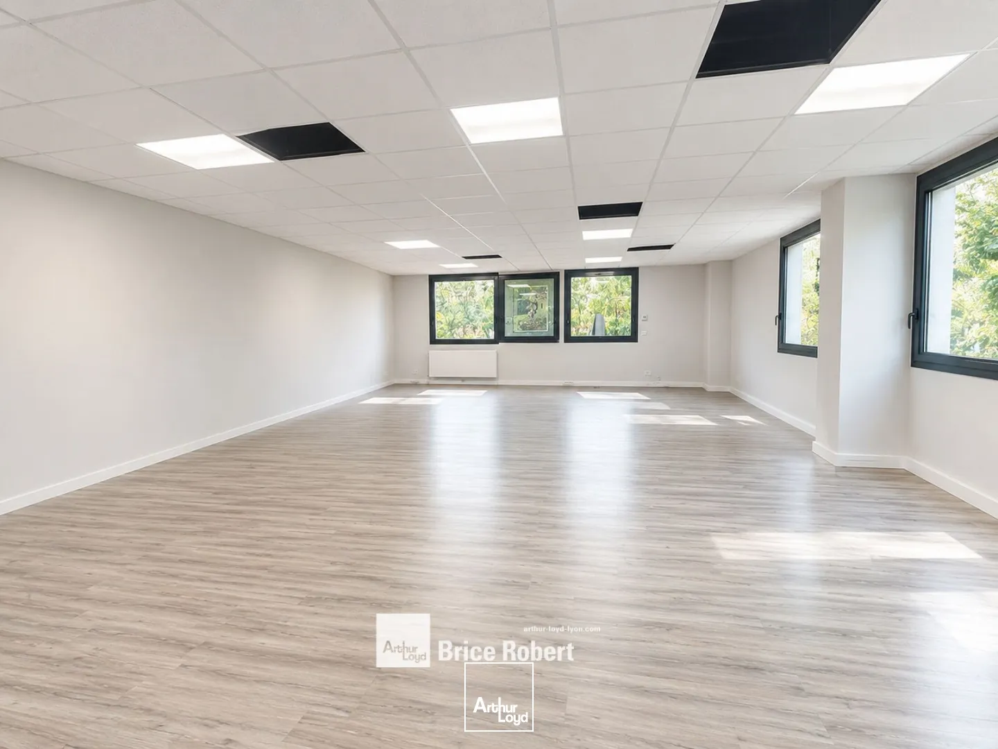 Bureaux - Vente - CHAMPAGNE AU MONT D'OR - 69410 - 99-99 - 7919347