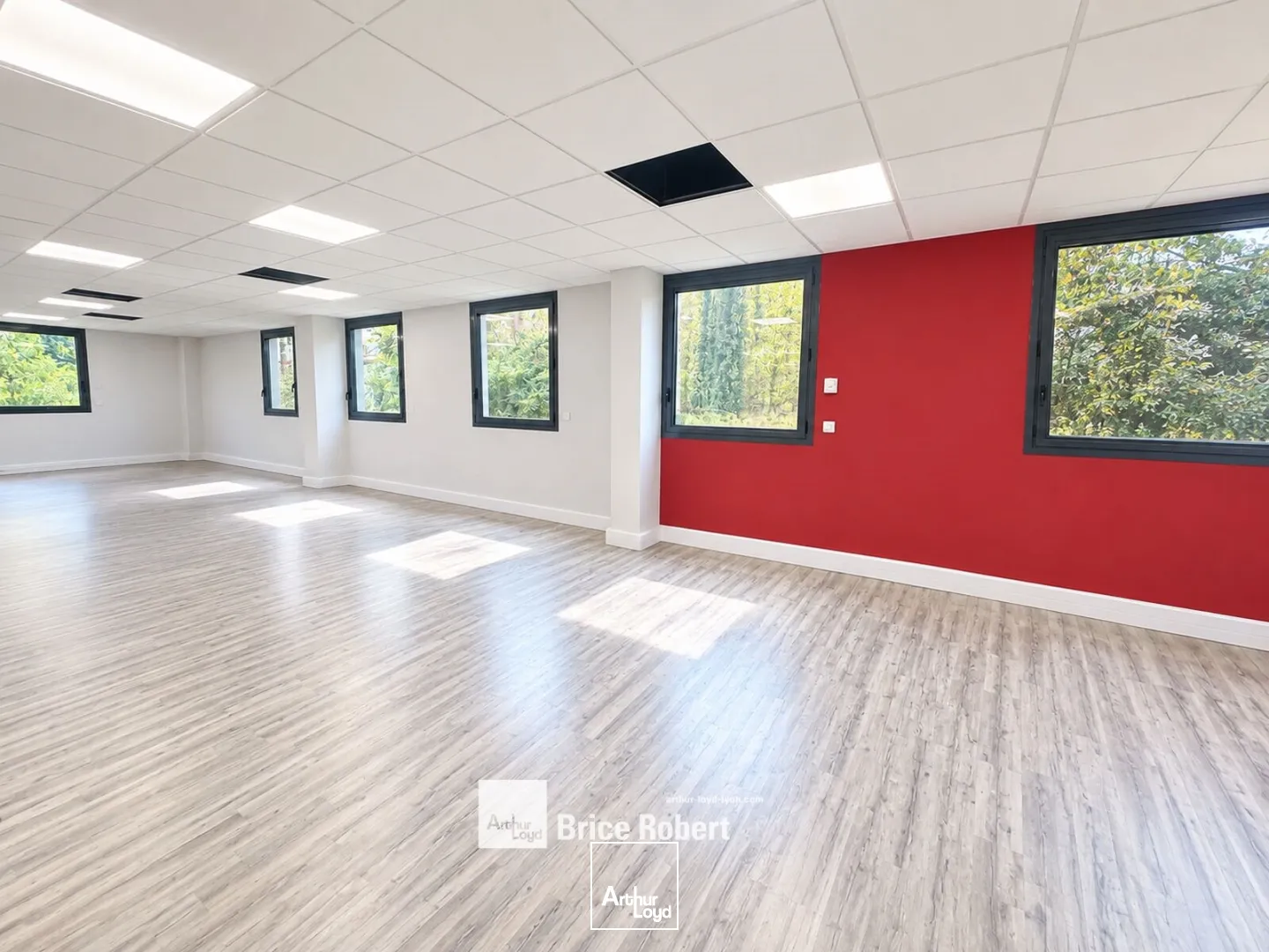 Bureaux - Vente - CHAMPAGNE AU MONT D'OR - 69410 - 99-99 - 7919349