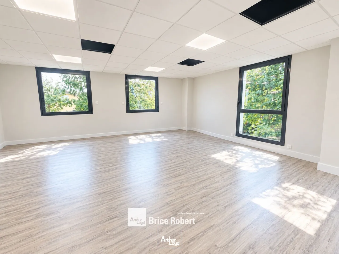 Bureaux - Vente - CHAMPAGNE AU MONT D'OR - 69410 - 99-99 - 7919350