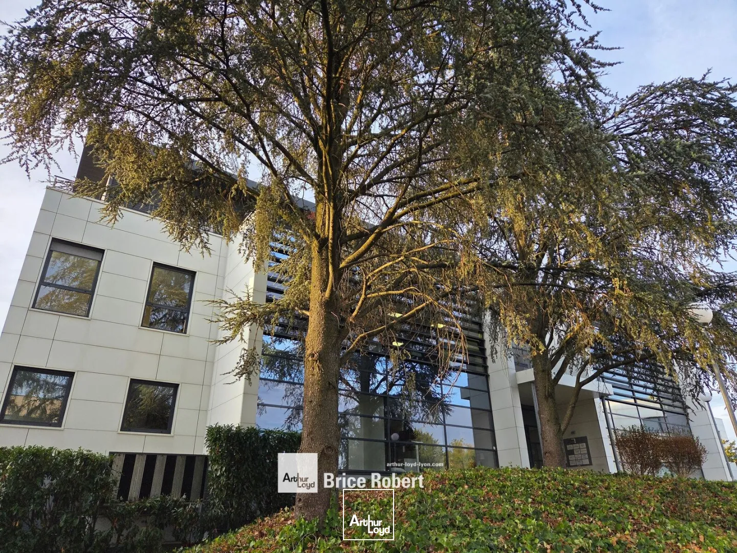 Bureaux - Vente - CHAMPAGNE AU MONT D'OR - 69410 - 99-99 - 7919346