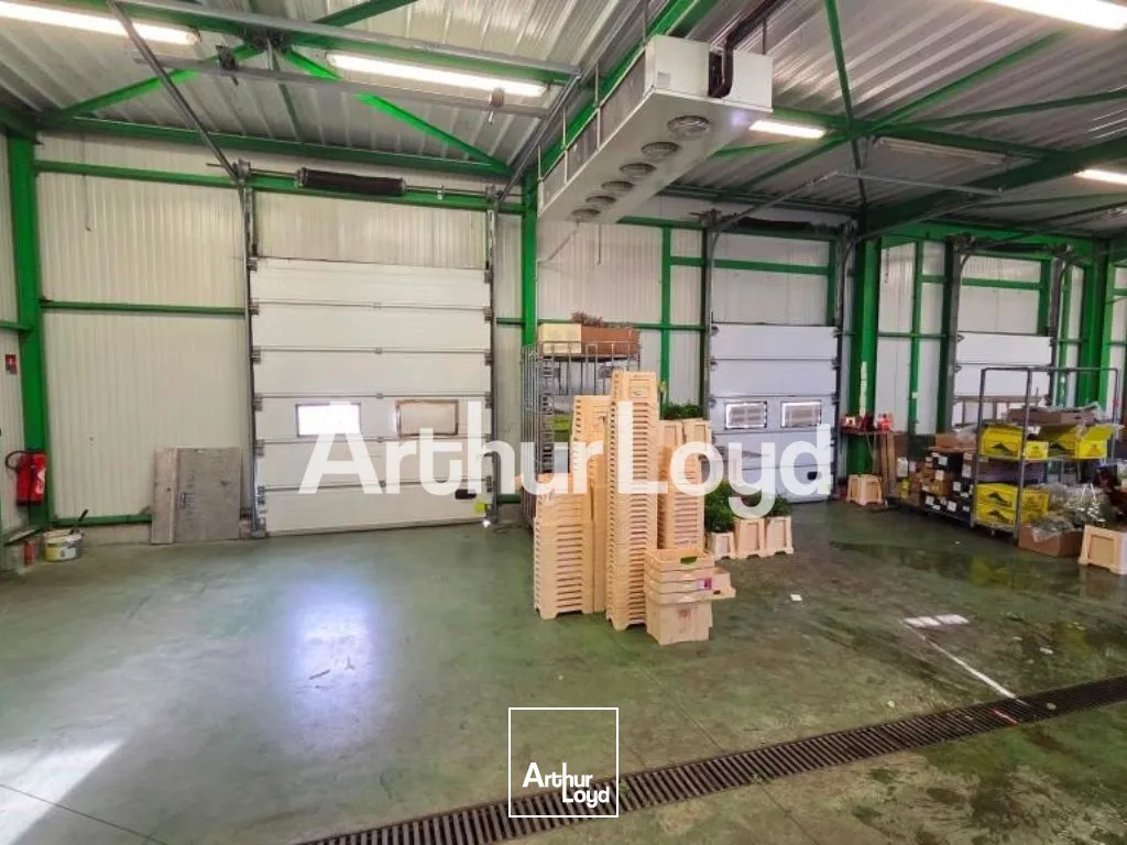 Locaux d'activité & Entrepôts - Vente - VIRE NORMANDIE - 14500 - 300-300 - 7919423