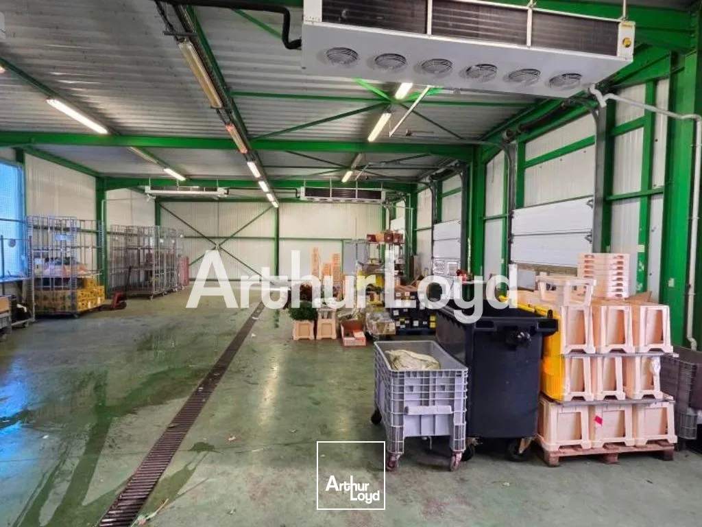 Locaux d'activité & Entrepôts - Vente - VIRE NORMANDIE - 14500 - 300-300 - 7919425