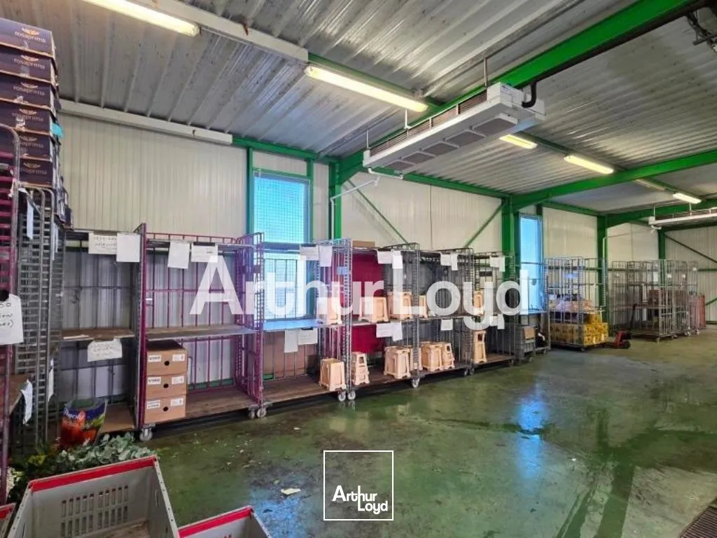Locaux d'activité & Entrepôts - Vente - VIRE NORMANDIE - 14500 - 300-300 - 7919426