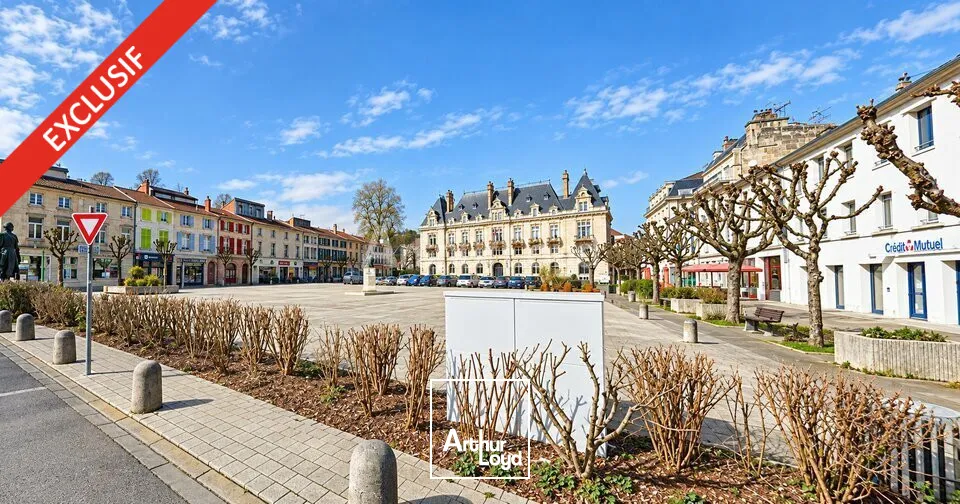 Locaux d'activité & Entrepôts - Vente - BAR-LE-DUC - 55000 - 489-489 - 7919521