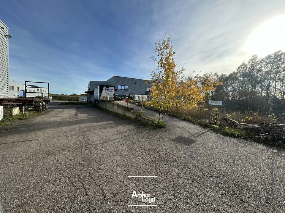 Locaux d'activité & Entrepôts - Vente - HENRIVILLE - 57450 - 808-808 - 7919531