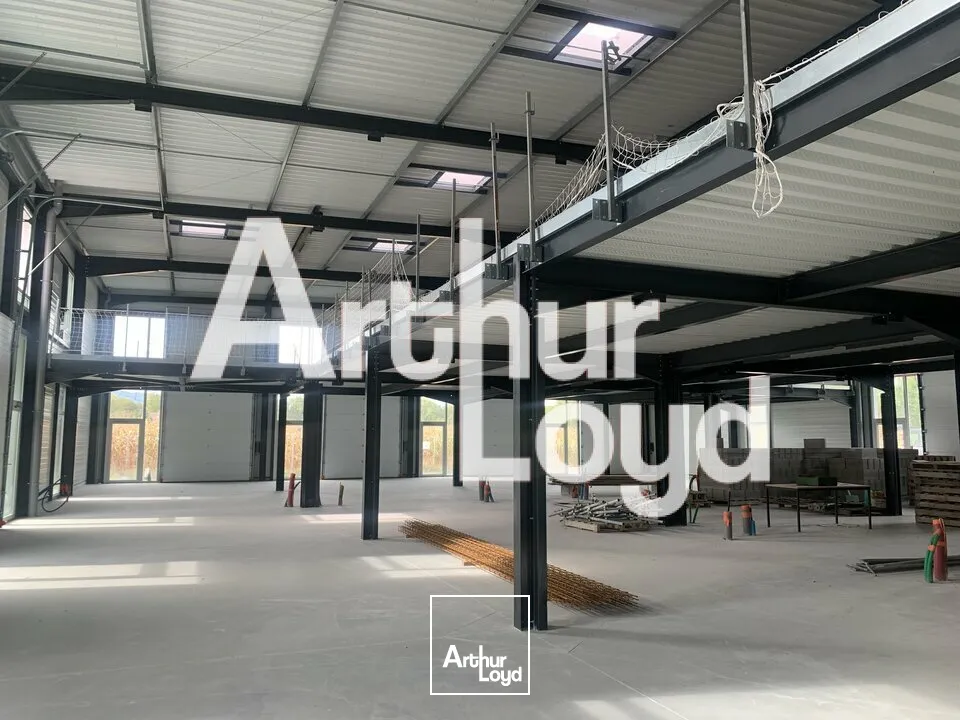Locaux d'activité & Entrepôts - Vente - AMANCY - 74800 - 5714-5714 - 7919962