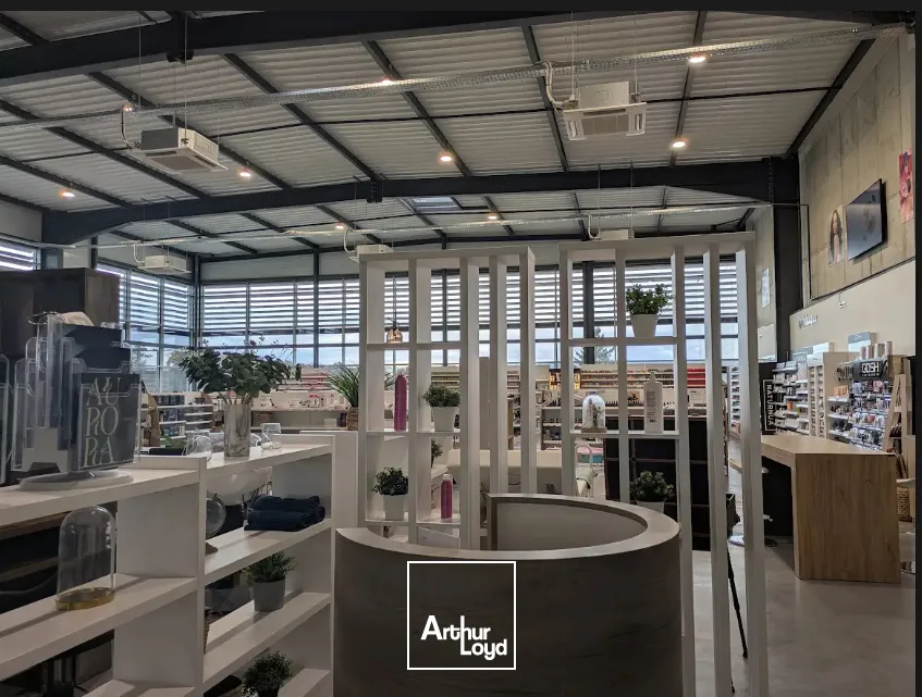 Locaux commerciaux - Location - LIMOGES - 87000 - 580-580 - 7920368