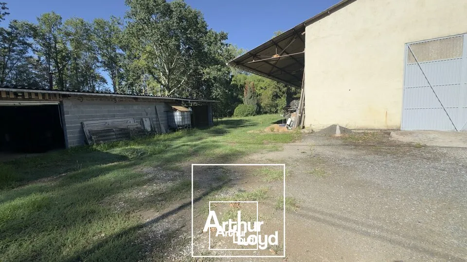Locaux d'activité & Entrepôts - Vente - SAINT-PANTALÉON-DE-LARCHE - 19600 - 250-250 - 7920960