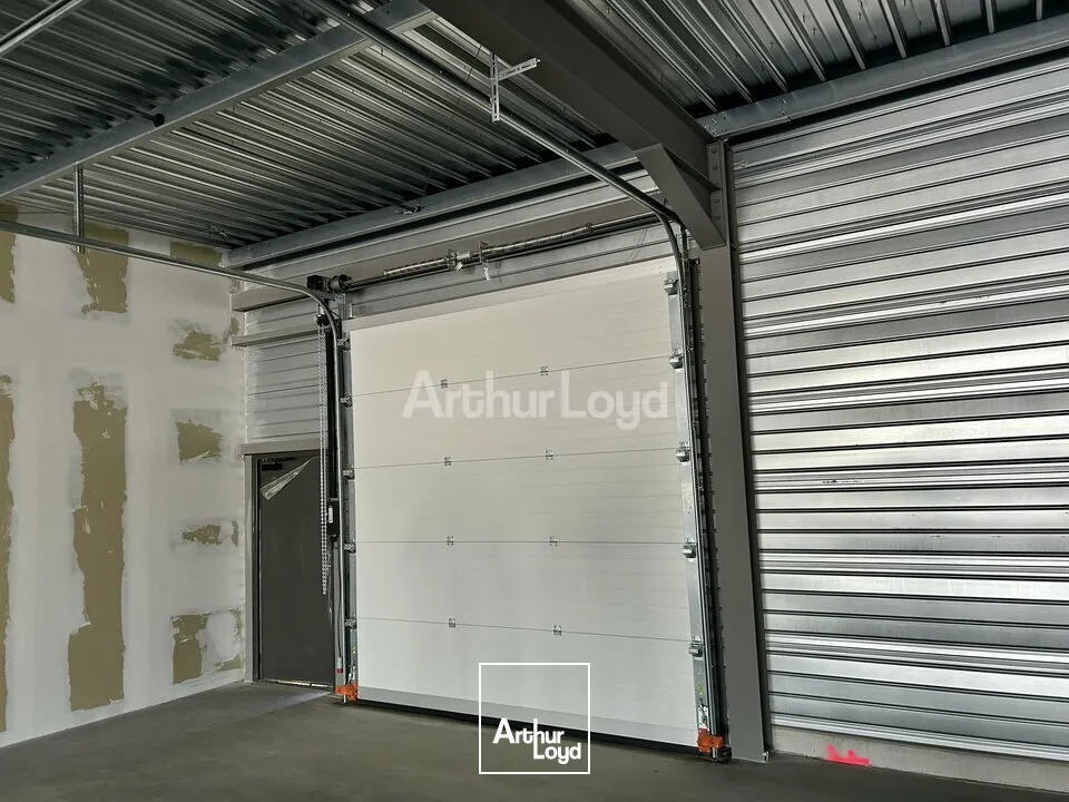 Locaux commerciaux - Location - COLMAR - 68000 - 129-419 - 7921596