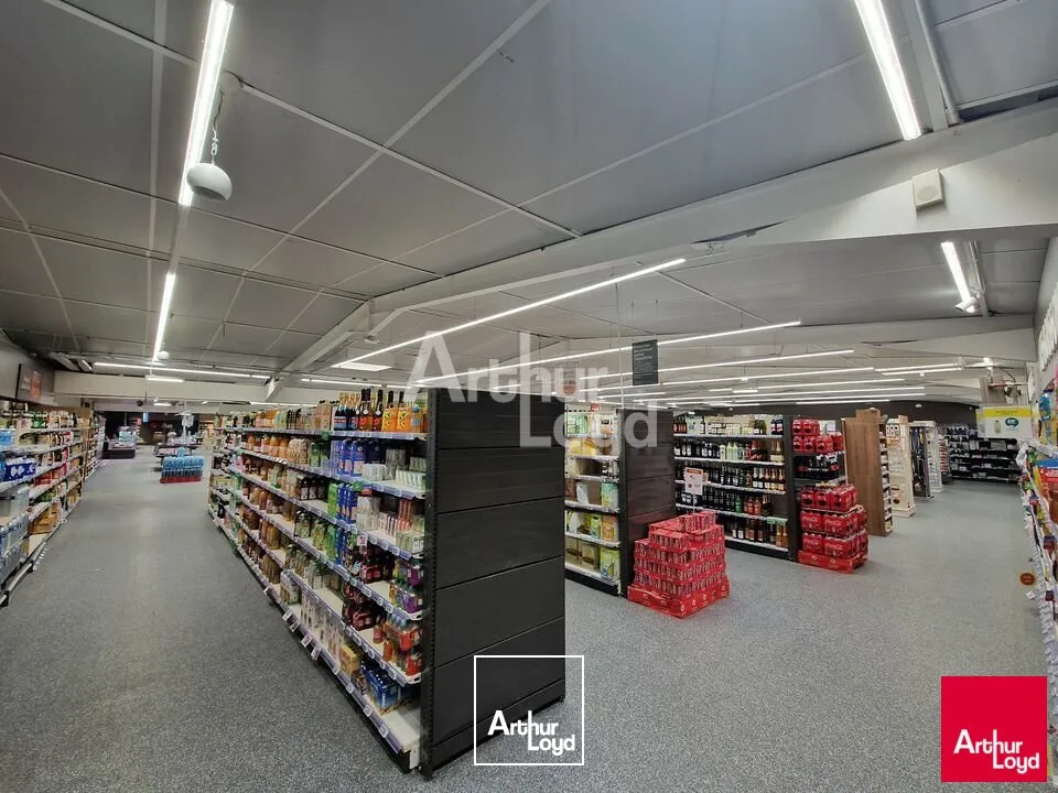 Locaux commerciaux - Location - MONTOIRE SUR LE LOIR - 41800 - 135-409 - 7921690