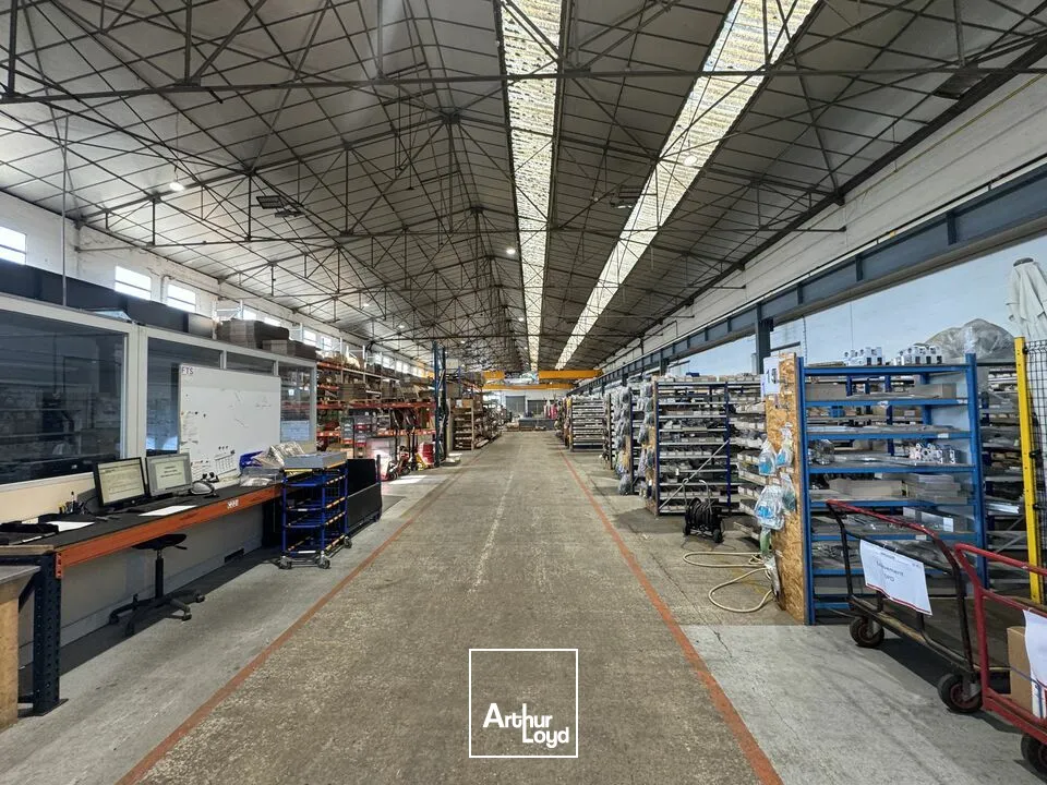 Locaux d'activité & Entrepôts - Location - JOUÉ-LÈS-TOURS - 37300 - 3989-3989 - 7921728