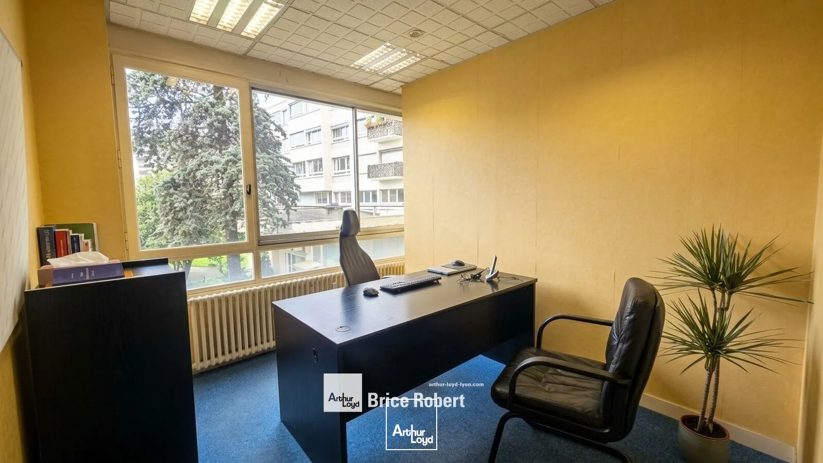 Bureaux - Location - LYON - 69006 - 80.38-80.38 - 7922549