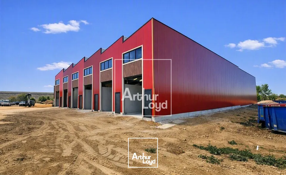 Locaux d'activité & Entrepôts - Vente - CHEVRY-COSSIGNY - 77173 - 56-2015 - 7922765