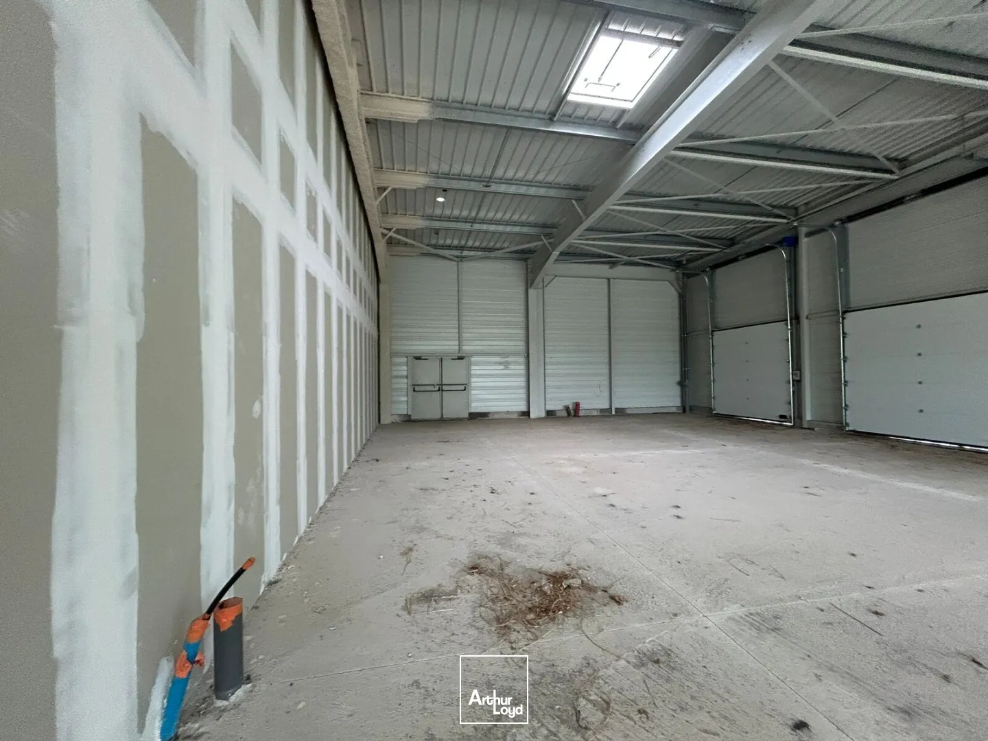 Locaux commerciaux - Location - POLLESTRES - 66450 - 310-310 - 7923239
