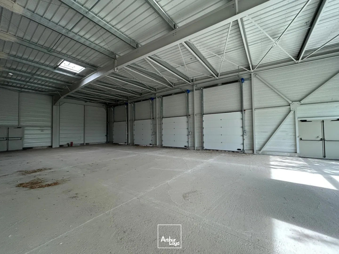 Locaux commerciaux - Location - POLLESTRES - 66450 - 310-310 - 7923238
