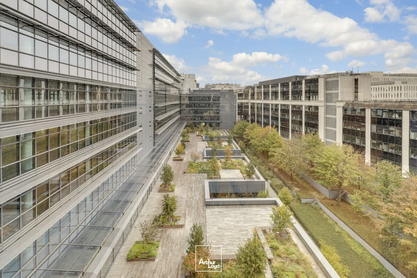 Bureaux - Location - MONTROUGE - 92120 - 810-810 - 7923379