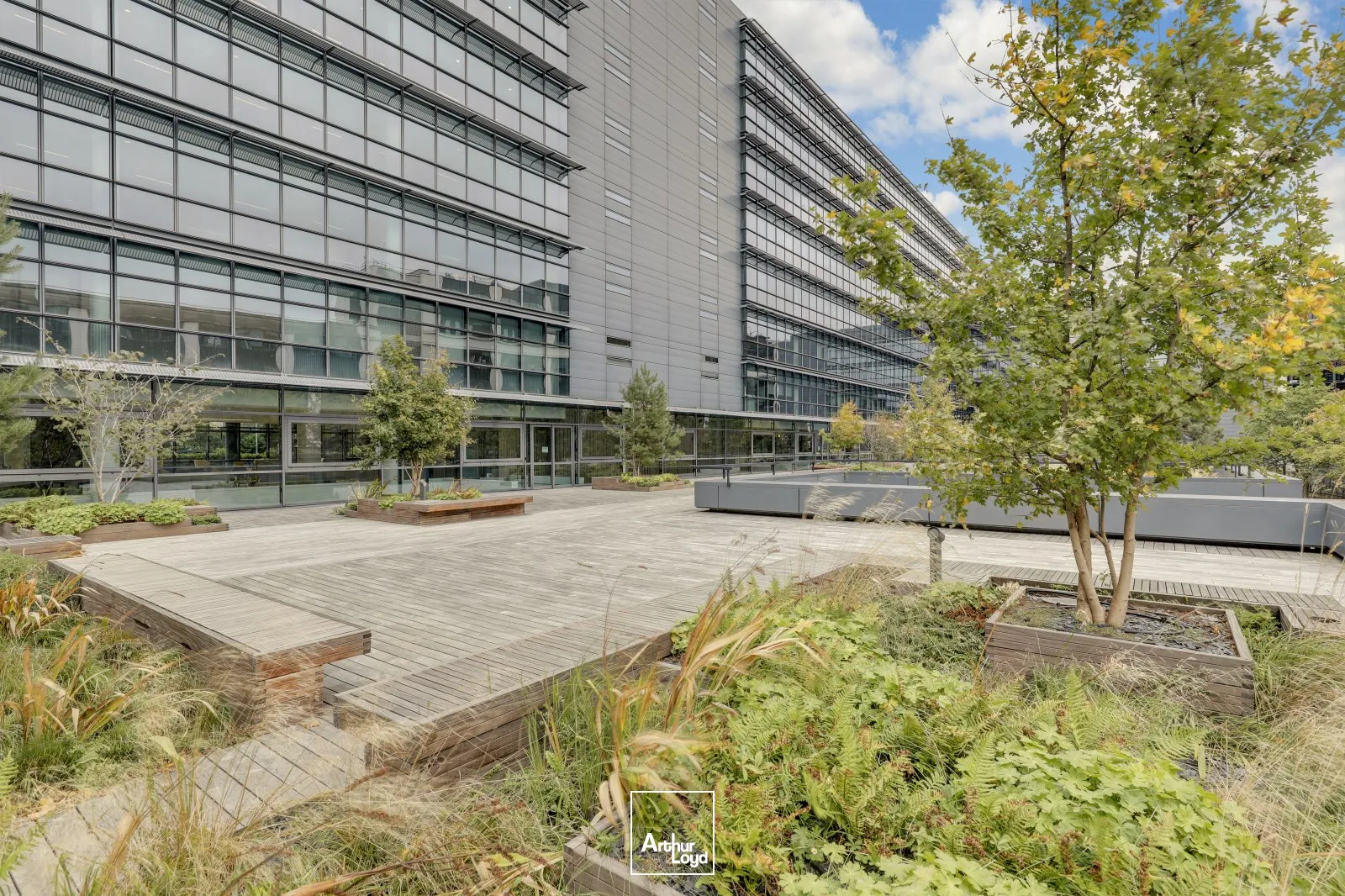Bureaux - Location - MONTROUGE - 92120 - 810-810 - 7923378