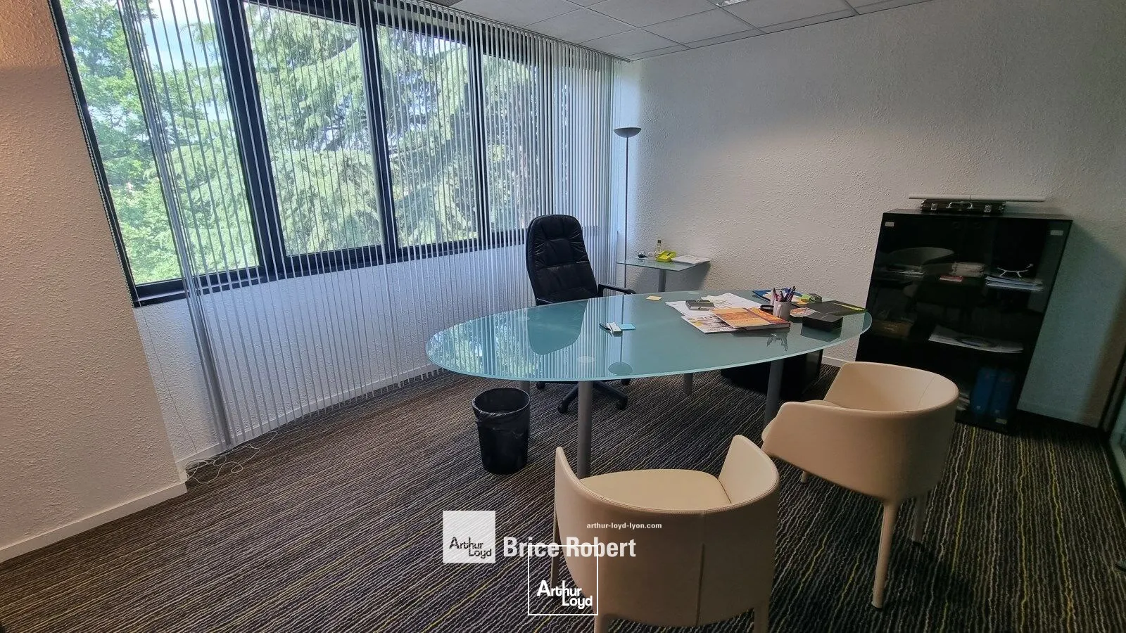 Bureaux - Location - SAINT DIDIER AU MONT D'OR - 69370 - 70-270 - 7923629