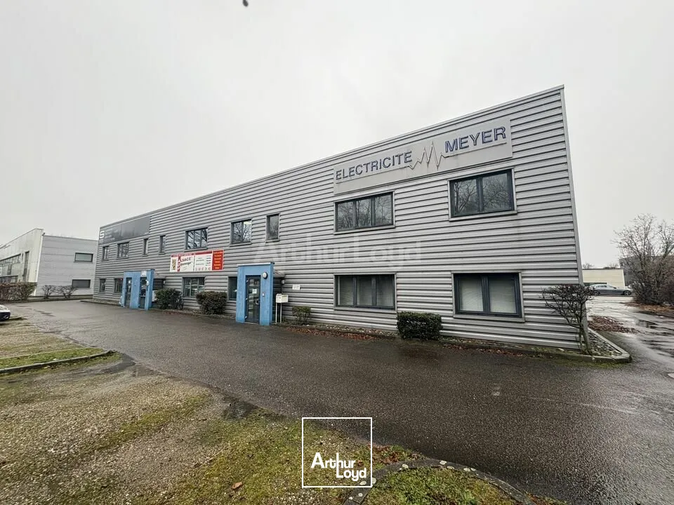 Locaux commerciaux - Location - OSTWALD - 67540 - 340-340 - 7923806