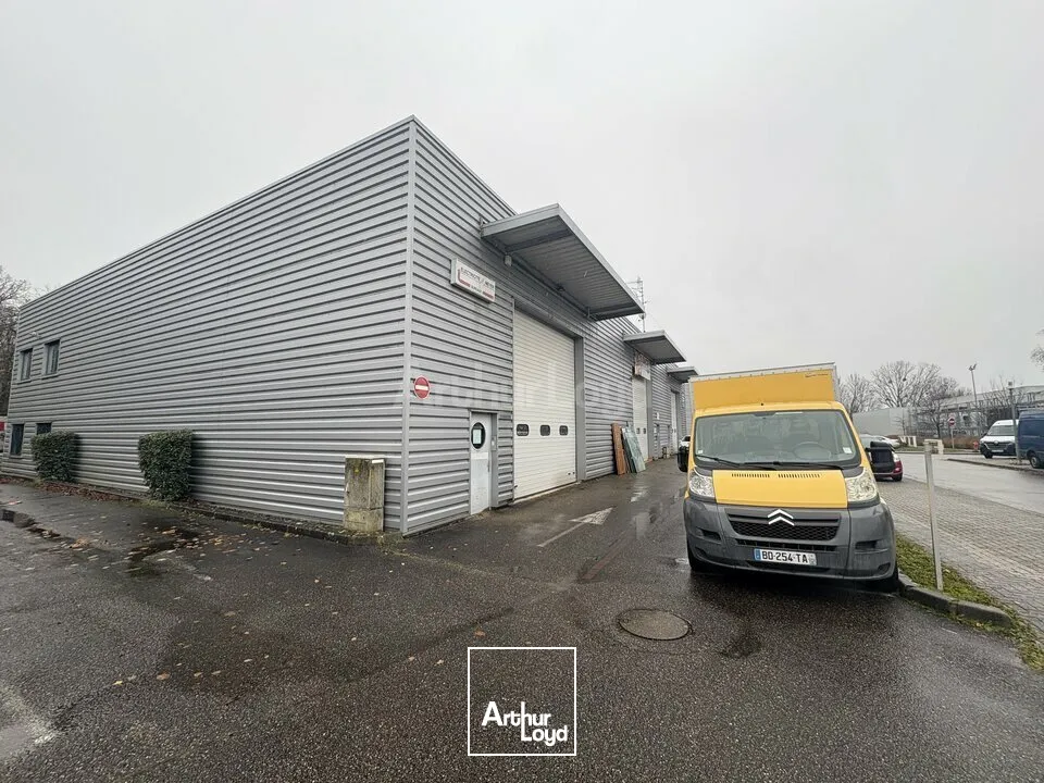 Locaux commerciaux - Location - OSTWALD - 67540 - 340-340 - 7923807