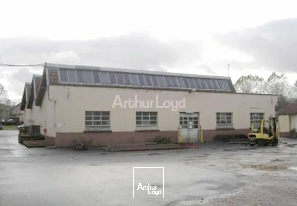 Locaux d'activité & Entrepôts - Vente - BLAINVILLE SUR L'EAU - 54360 - 7259-7259 - 7924479
