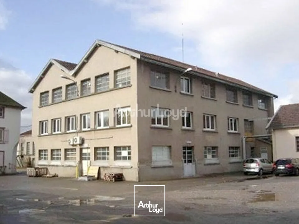 Locaux d'activité & Entrepôts - Vente - BLAINVILLE SUR L'EAU - 54360 - 7259-7259 - 7924478
