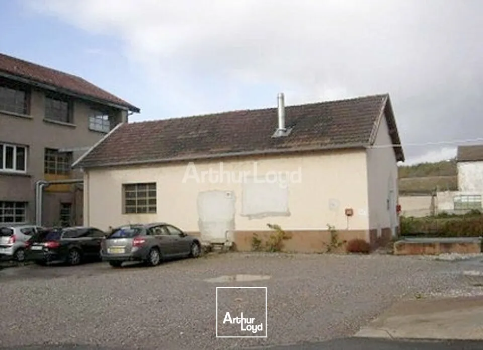 Locaux d'activité & Entrepôts - Vente - BLAINVILLE SUR L'EAU - 54360 - 7259-7259 - 7924480