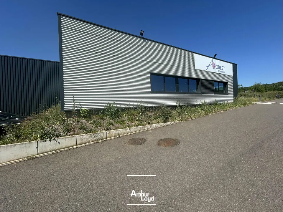 Locaux d'activité & Entrepôts - Vente - FLORANGE - 57190 - 990-990 - 7924486