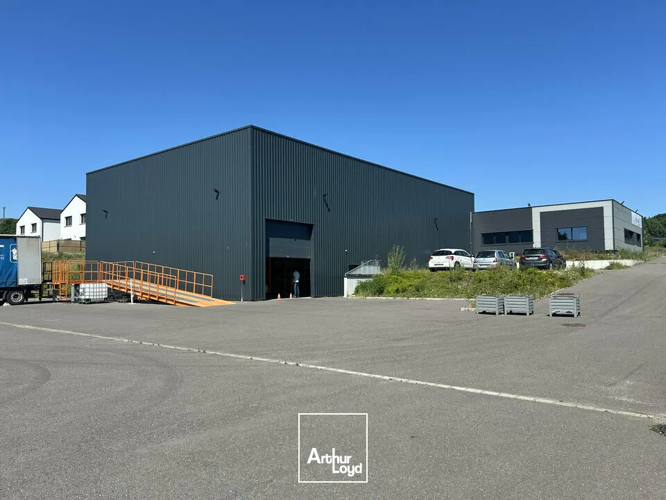 Locaux d'activité & Entrepôts - Vente - FLORANGE - 57190 - 990-990 - 7924484