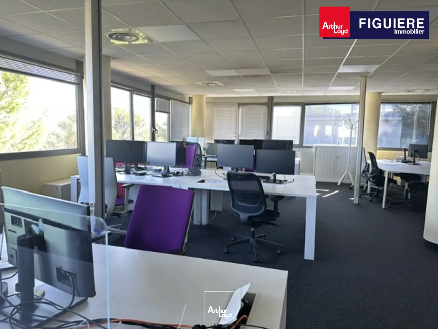 Bureaux - Location - AIX EN PROVENCE - 13100 - 442-442 - 7925517