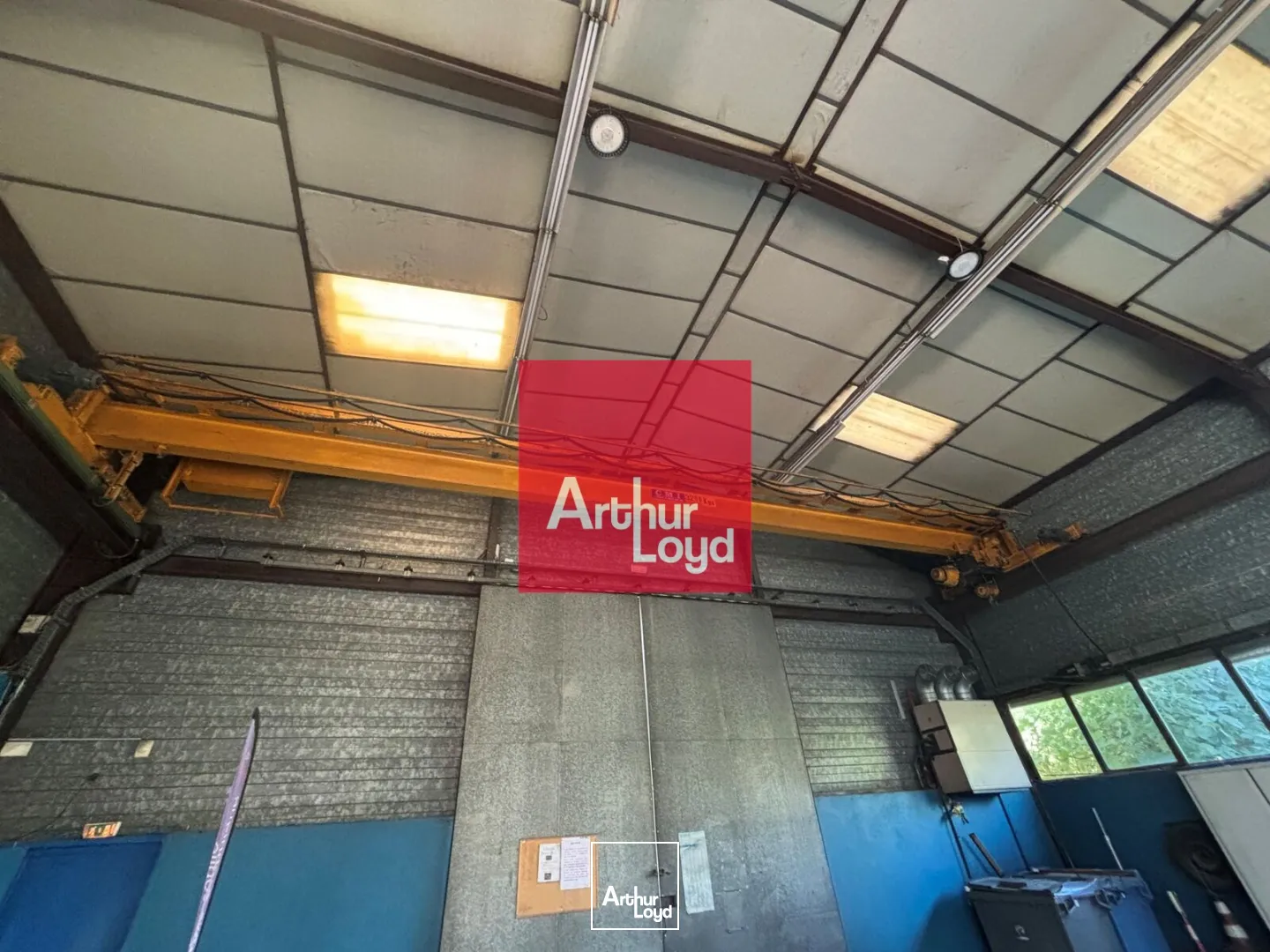 Locaux d'activité & Entrepôts - Location - SASSENAGE - 38360 - 370-370 - 7930224