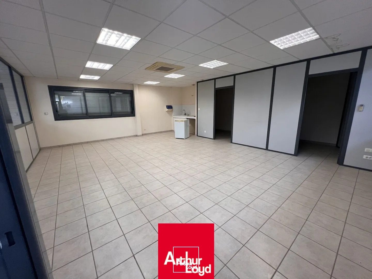 Locaux d'activité & Entrepôts - Vente - BELLEVILLE-EN-BEAUJOLAIS - 69220 - 917.5-917.5 - 7930807